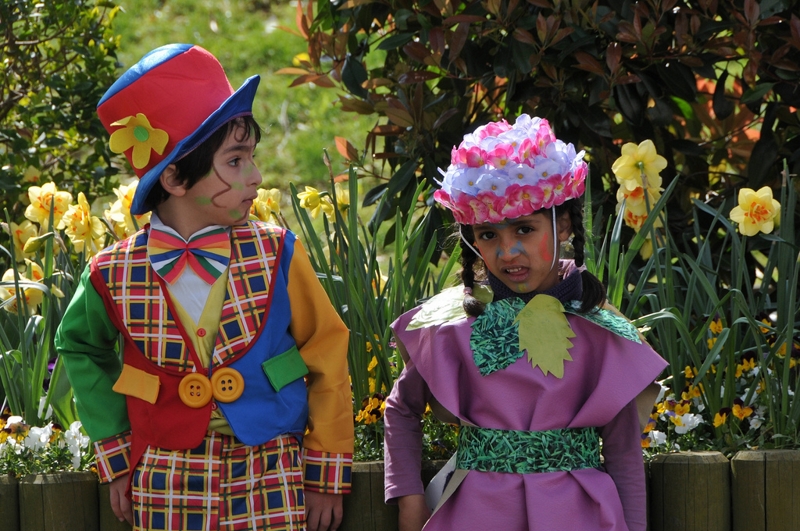 Evry Daily Photo - Carnaval Evry 2010 087 - large.jpg